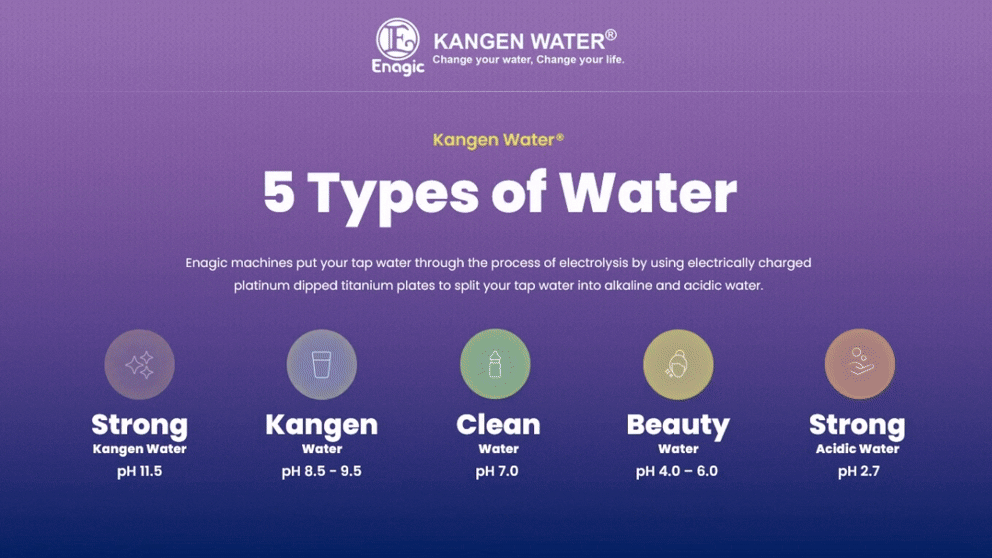 Pitch on Kangen water purifier and the five types of water it filters